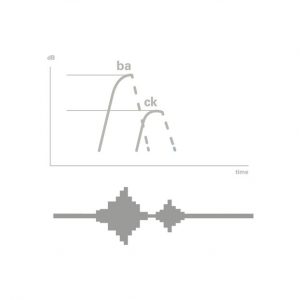 AP_Systems-P124-b